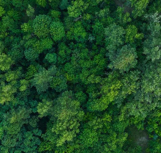 会社沿革